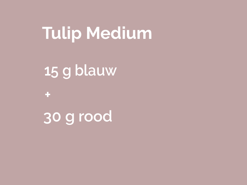 tulip medium.png
